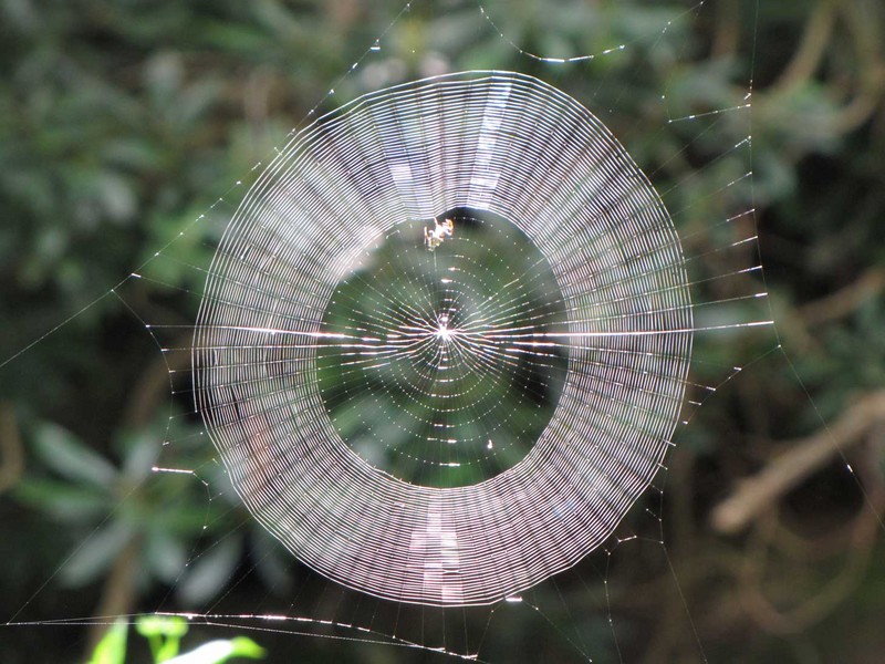 images/WEB_01.jpg